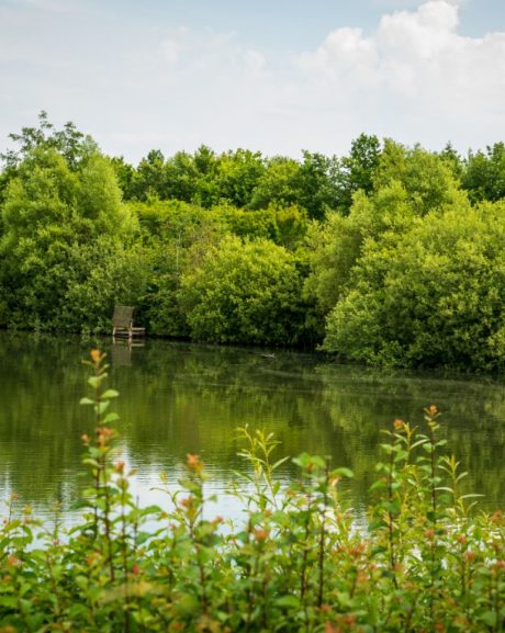 Biodiversitet - Stenstrup lergrav