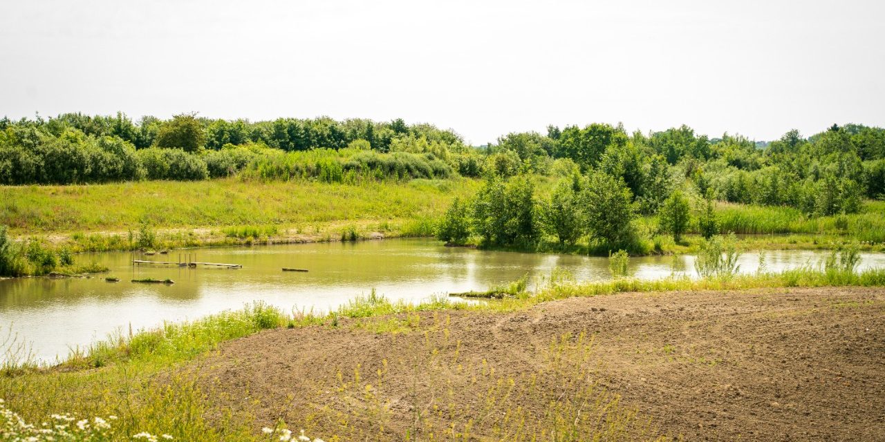 Biodiversitet - Stenstrup lergrav