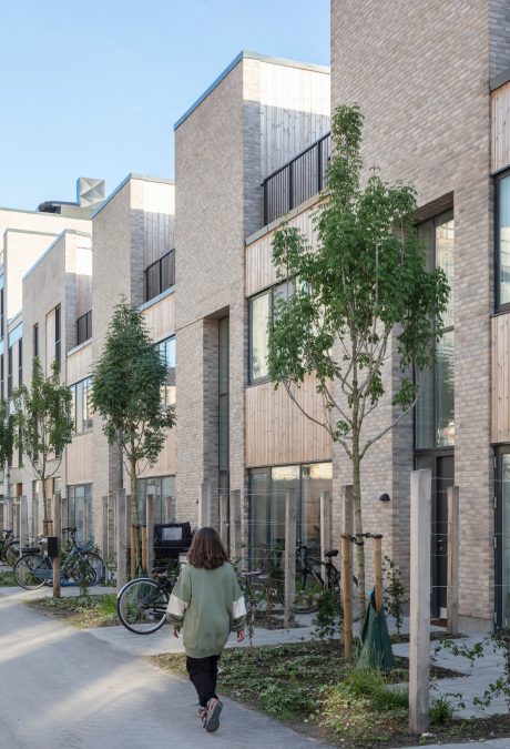 Mursten: EW2169 Cold Hawaii | Dolomithusene