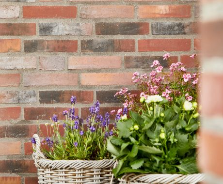 Mursten: EW0445 Hvede | Danfoss House, Sønderborg Havn