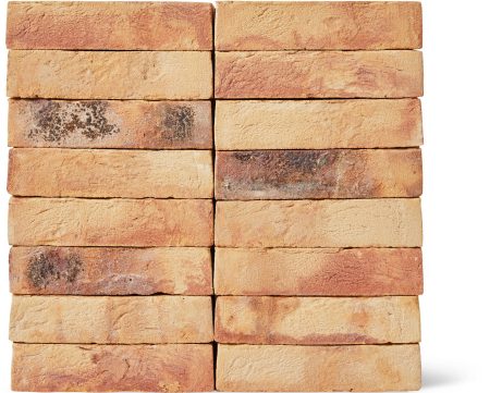 Brick: Lichtbrons | Egernsund Wienerberger A/S