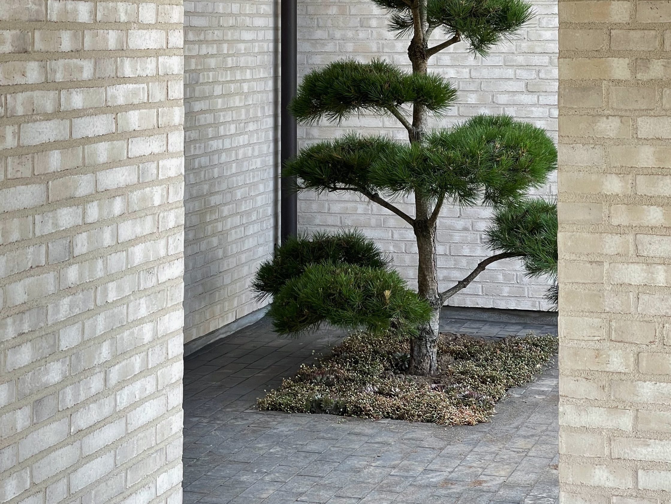 Mursten - belægningstegl: EW109 Hvid Marmor - Bretagne | Ideal Huse