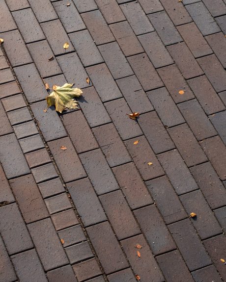 Novo Nordisk, Paver, Bretagne