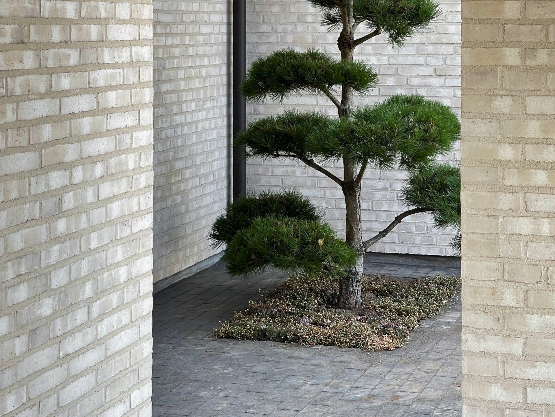 Mursten - belægningstegl: EW109 Hvid Marmor - Bretagne | Ideal Huse