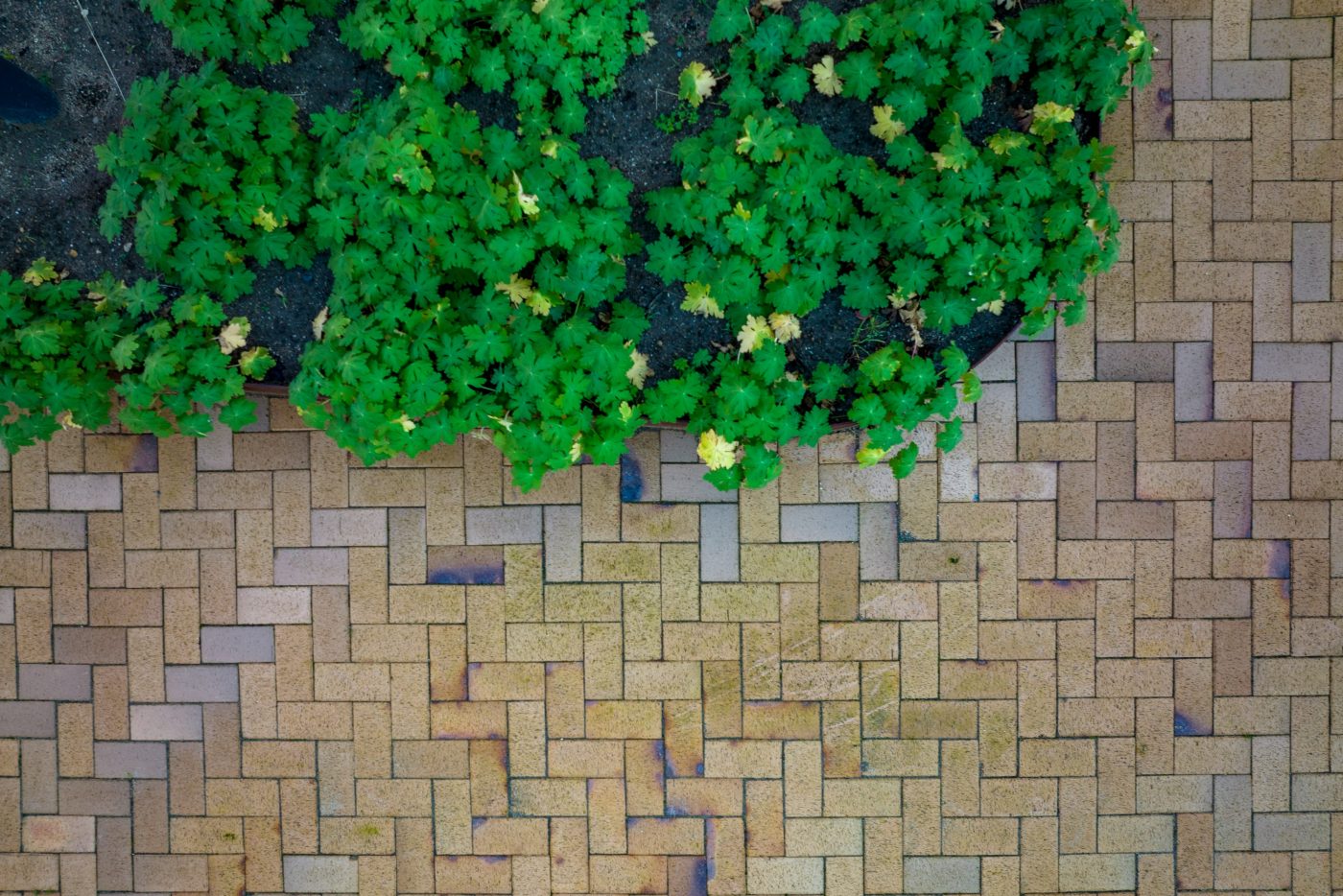 Belægningstegl - Odense med kul - Kongens Karré,  Odense