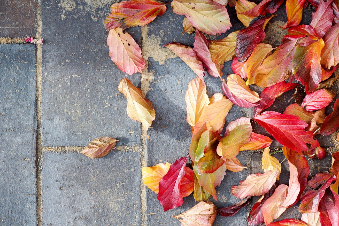 Mursten - belægningstegl: EW109 Hvid Marmor - Bretagne | Ideal Huse