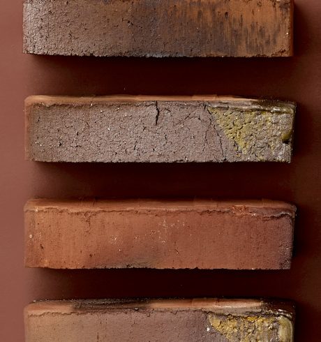 Husbyggerkampagnen - Deep Roots