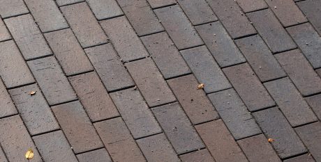 Novo Nordisk, Paver, Bretagne