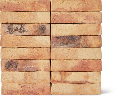 Brick: Lichtbrons | Egernsund Wienerberger A/S