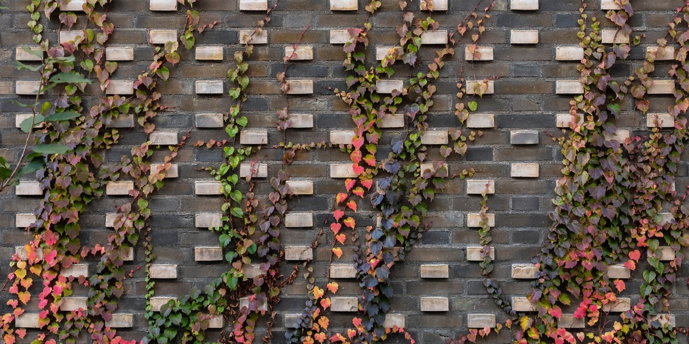 Mursten: EW2191 Contignas - EW2783 Royal Night | Iris Hus