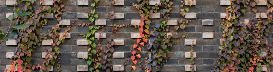 Mursten: EW2191 Contignas - EW2783 Royal Night | Iris Hus