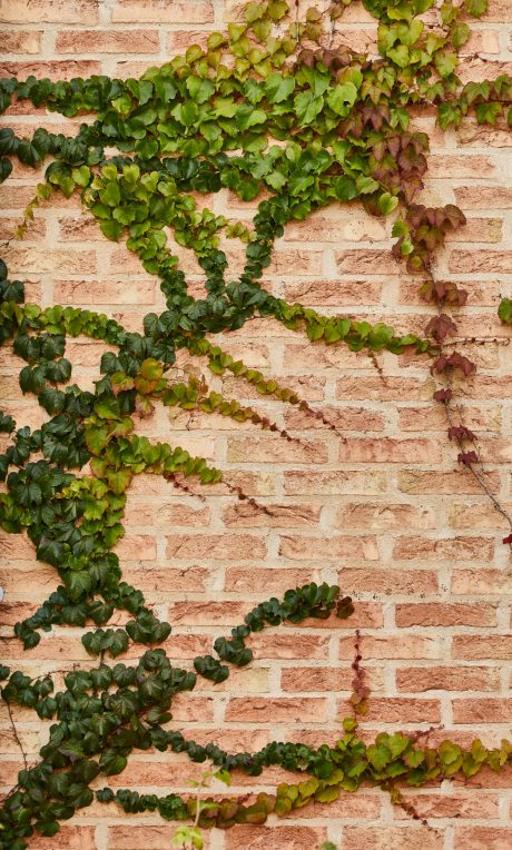 Brick: EW3370 Gulrød med spil Tagsten: Datura Naturrød+ | Oluf Bagers Plads, Odense (Denmark)