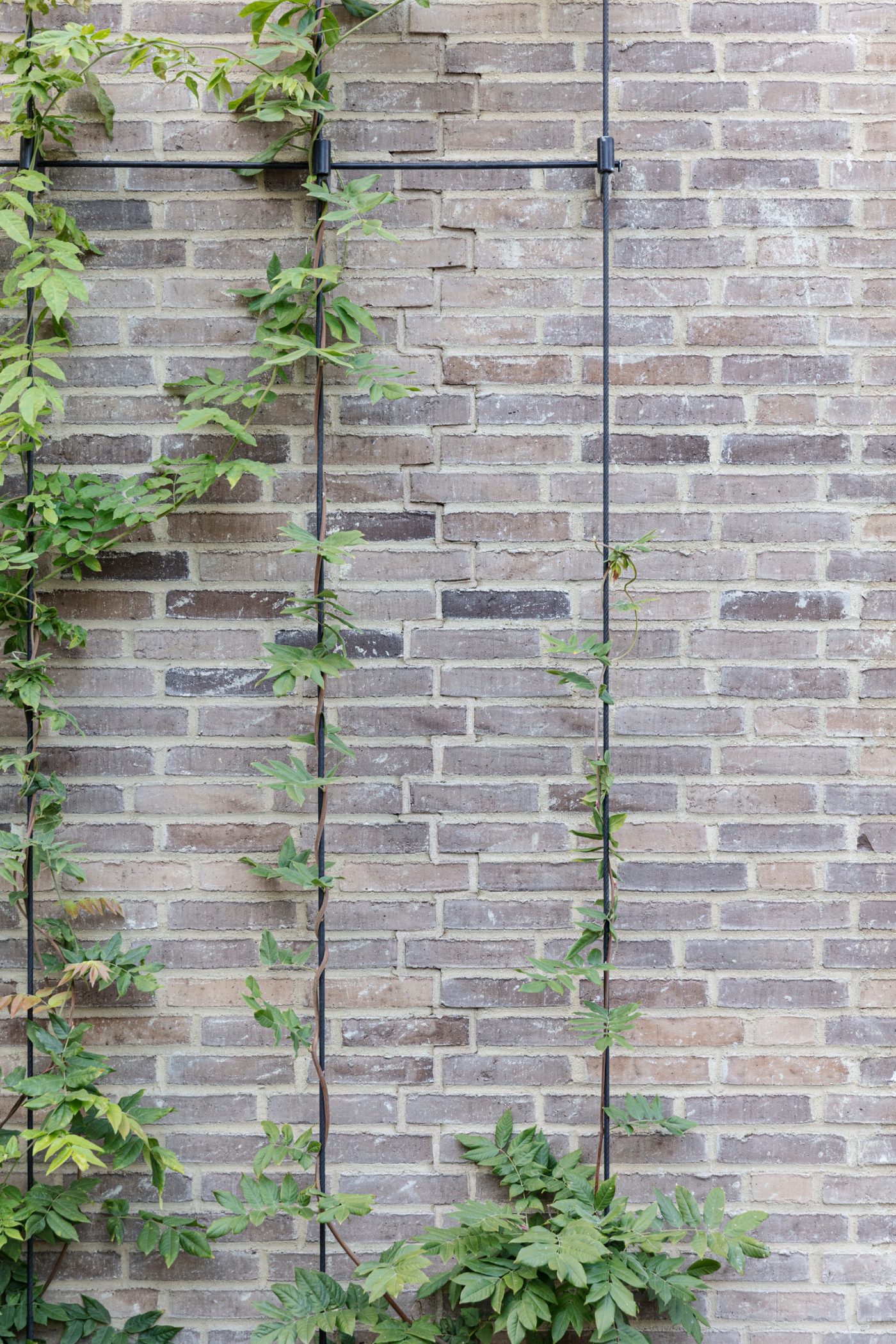 Mursten: EW0448 Halm | Toves Gaard, København