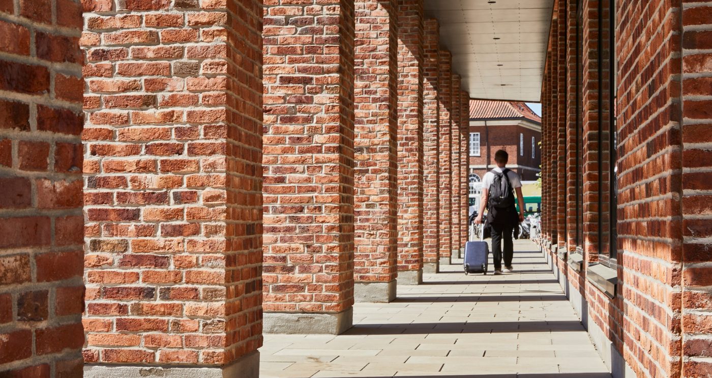 Mursten: EW3255 Red Shade - EW3373 Safari | Campus Horsens
