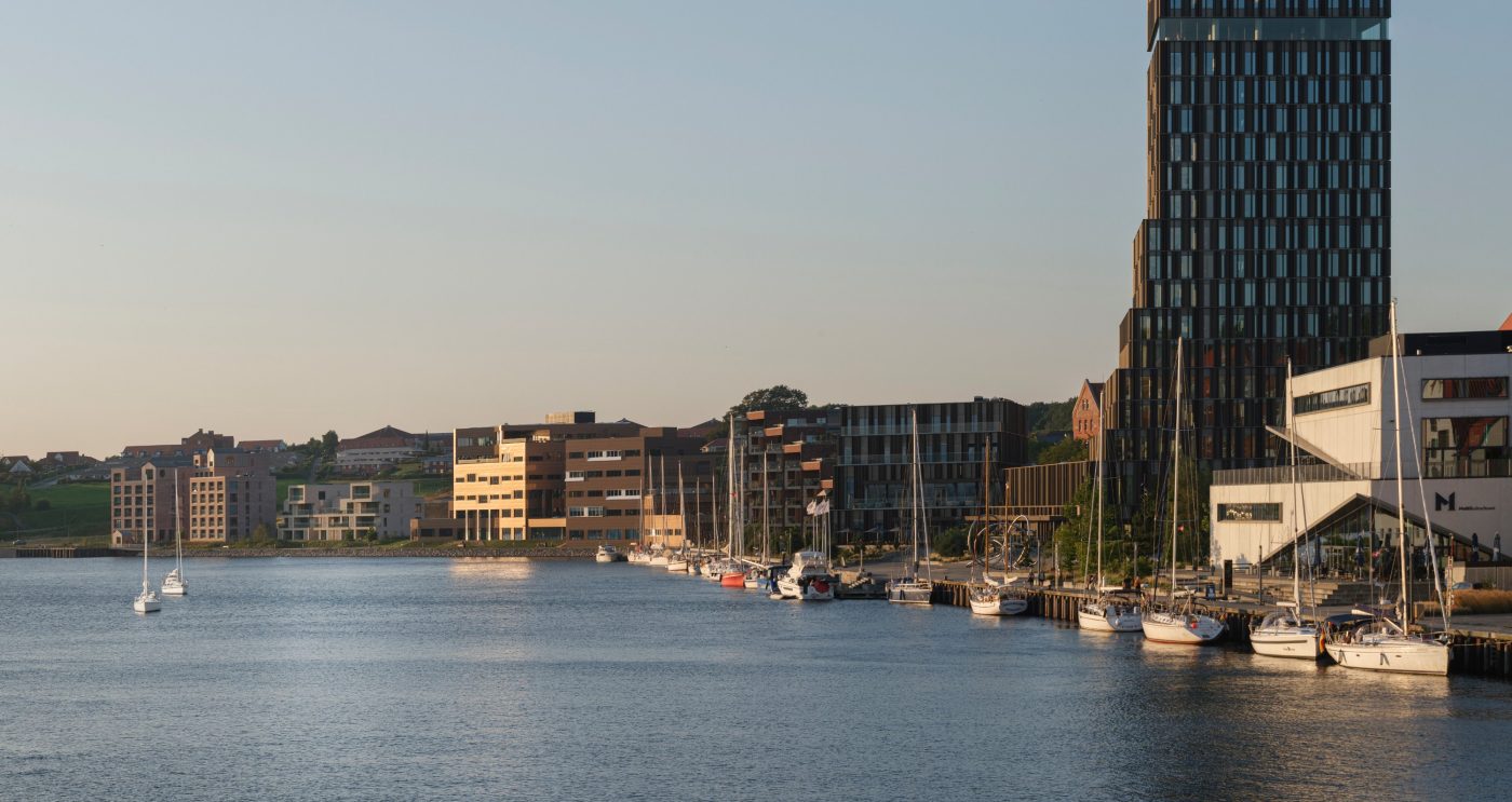 Mursten: EW0445 Hvede | Danfoss House, Sønderborg Havn