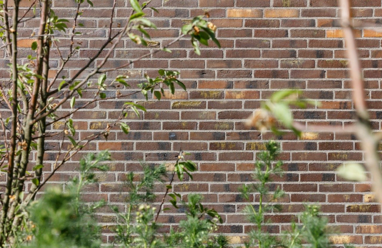 Mursten - EW2448 Willems Forest - Hosta Hus