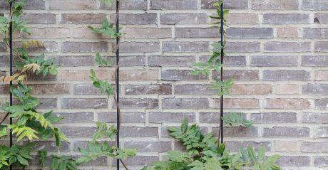 Mursten: EW0448 Halm | Toves Gaard, København