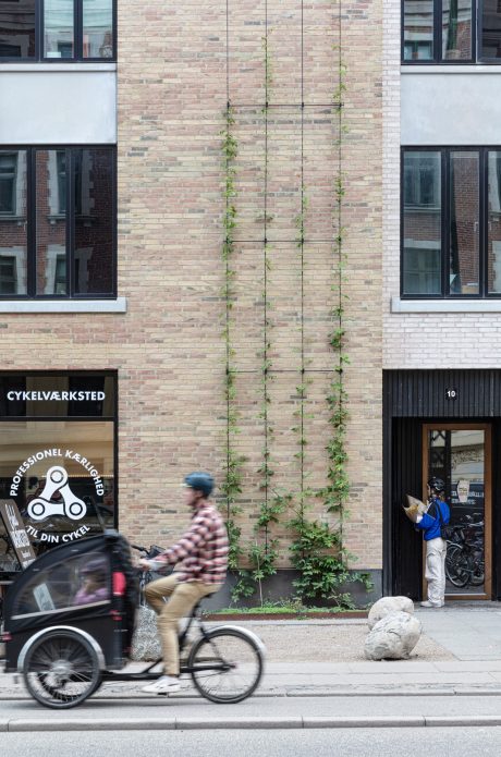 Mursten: EW0448 Halm | Toves Gaard, København