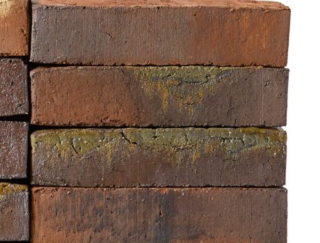 EW2448 Willems Forest