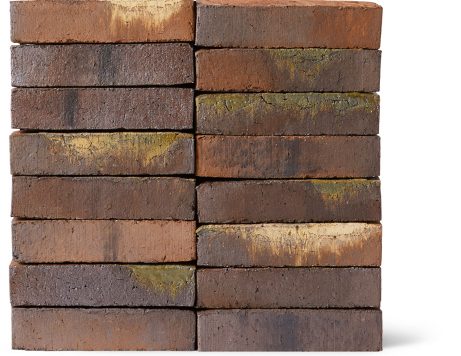 EW2448 Willems Forest