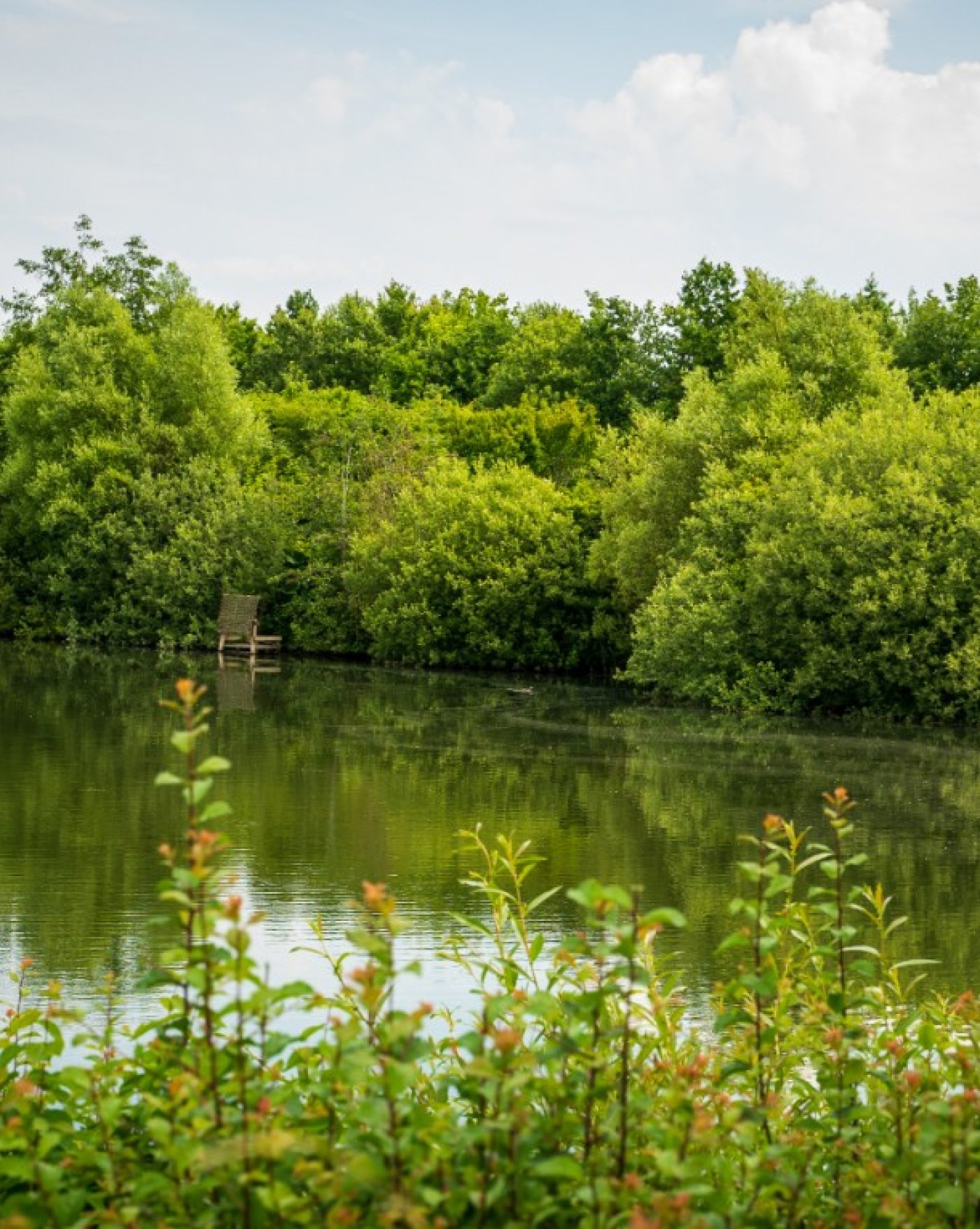 Godt samarbejde sikrer biodiversiteten på Fyn
