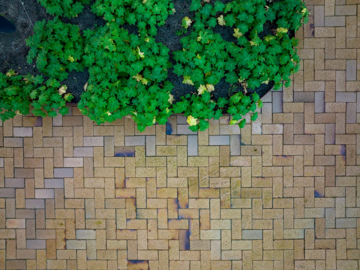 Belægningstegl - Odense med kul - Kongens Karré,  Odense