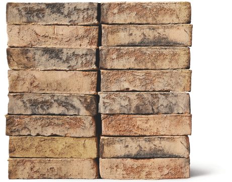 Mursten: EW3373 Safari | Egernsund Wienerberger A/S