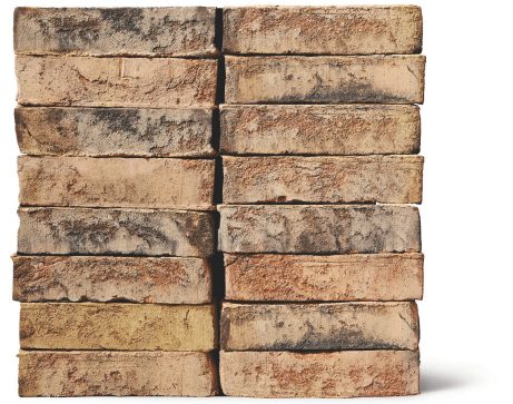 Danish Facade Brick 3.3.73 Safari