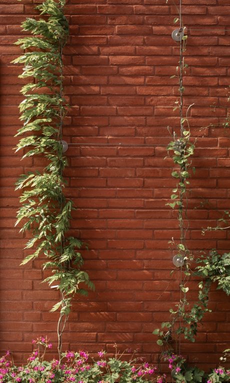 Dezeen Award Æbleøen Arhus Cebra Arkitekter