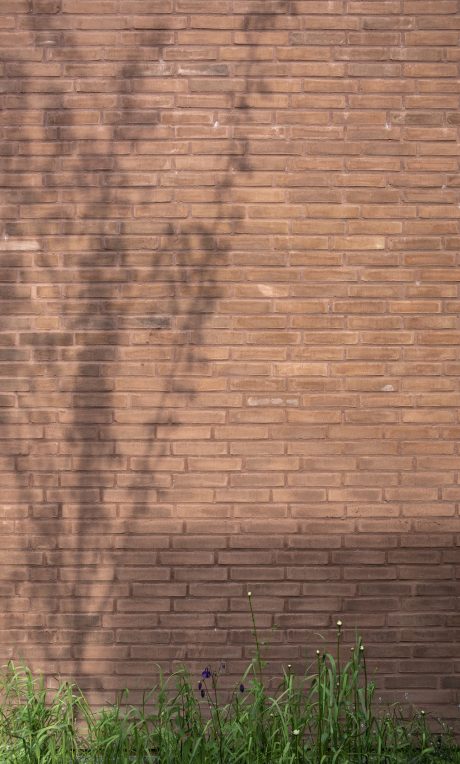 Dezeen Award Æbleøen Arhus Cebra Arkitekter