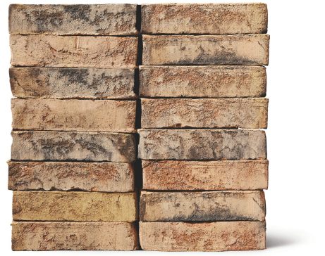 Danish Facade Brick 3.3.73 Safari