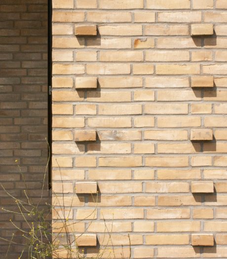 Mursten: EW2136 Light Coal | Lindehaven JF-grunden