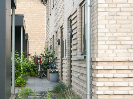 Mursten: EW2169 Cold Hawaii | Lindehaven JF-grunden