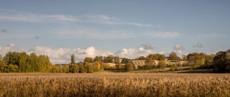 Mursten: EW0491 Magma | Sct. Hans Hospital, Roskilde