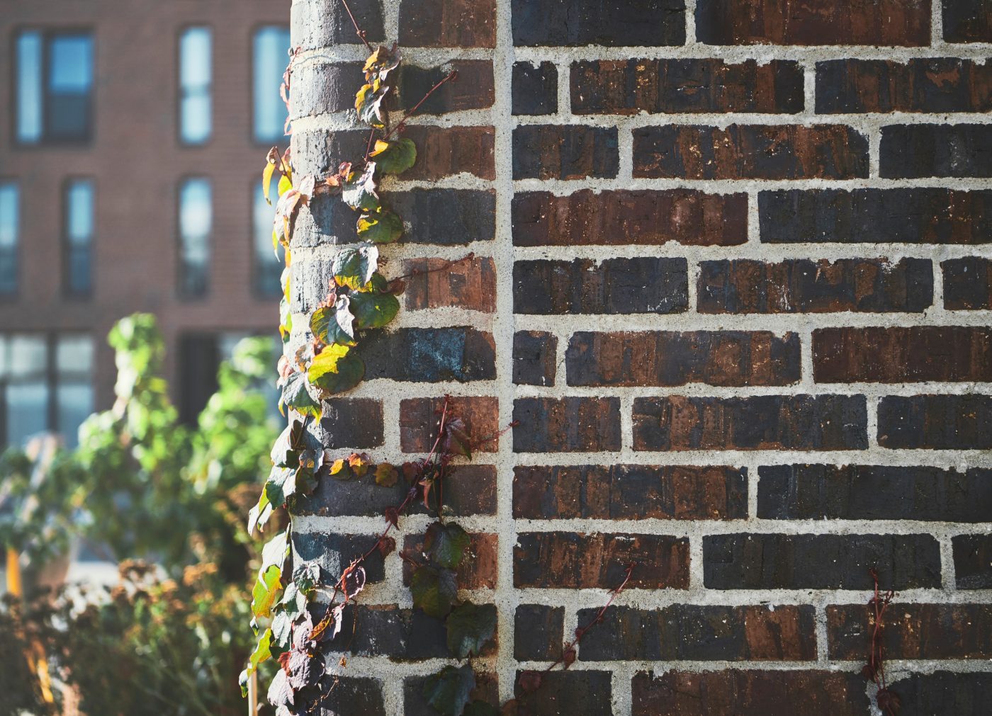 Mursten: EW2445 Persa | Rhododendron Hus, Grønttorvet