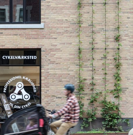 Mursten: EW0448 Halm | Toves Gaard, København