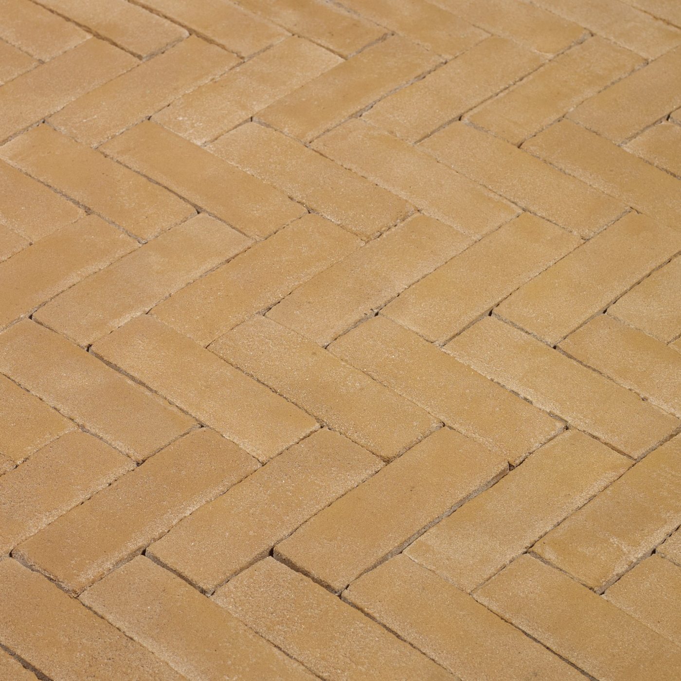 Productshot of the Solane DF Kijfwaard West