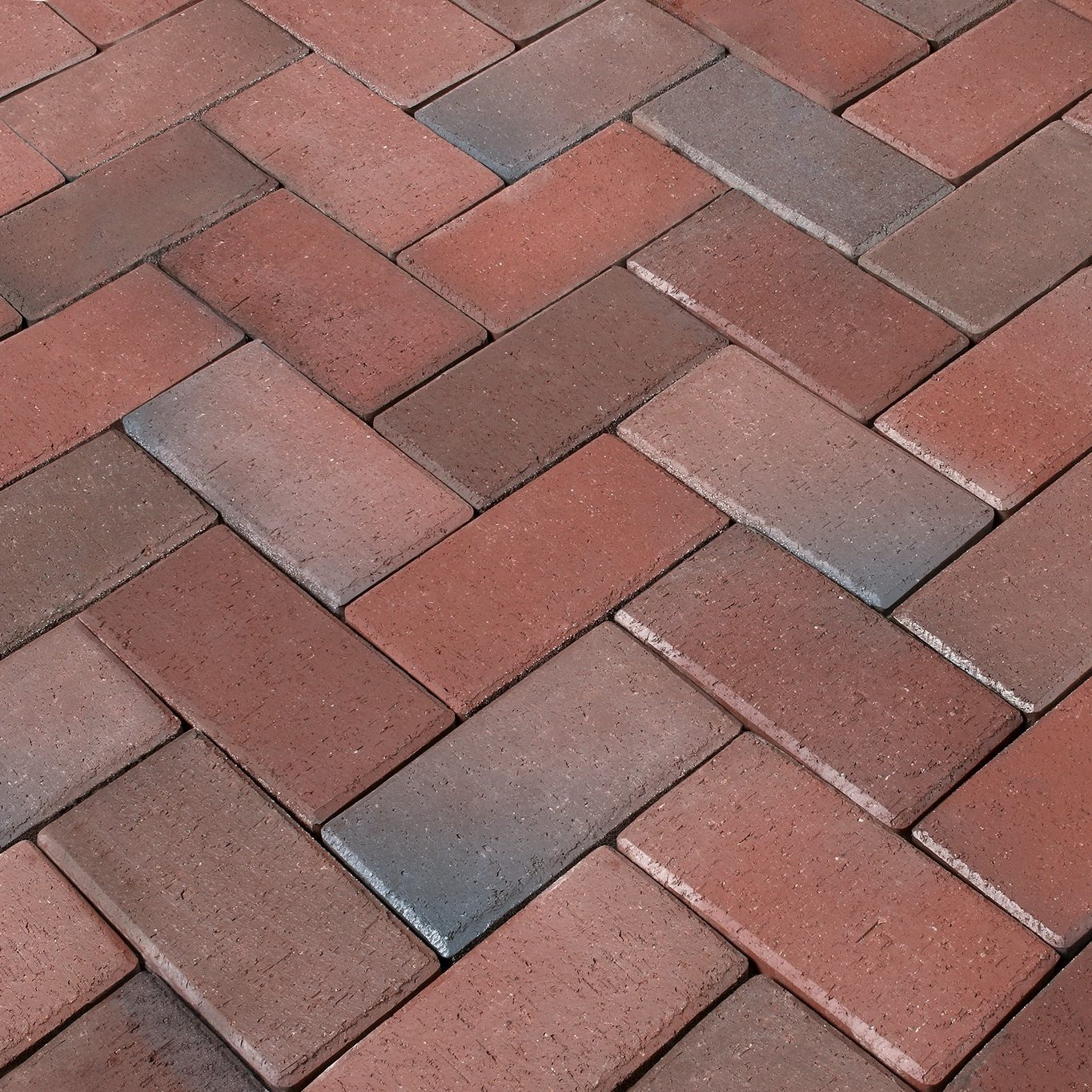 Pavers - Rotblau Bunt